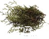 微信小程序开发公司
